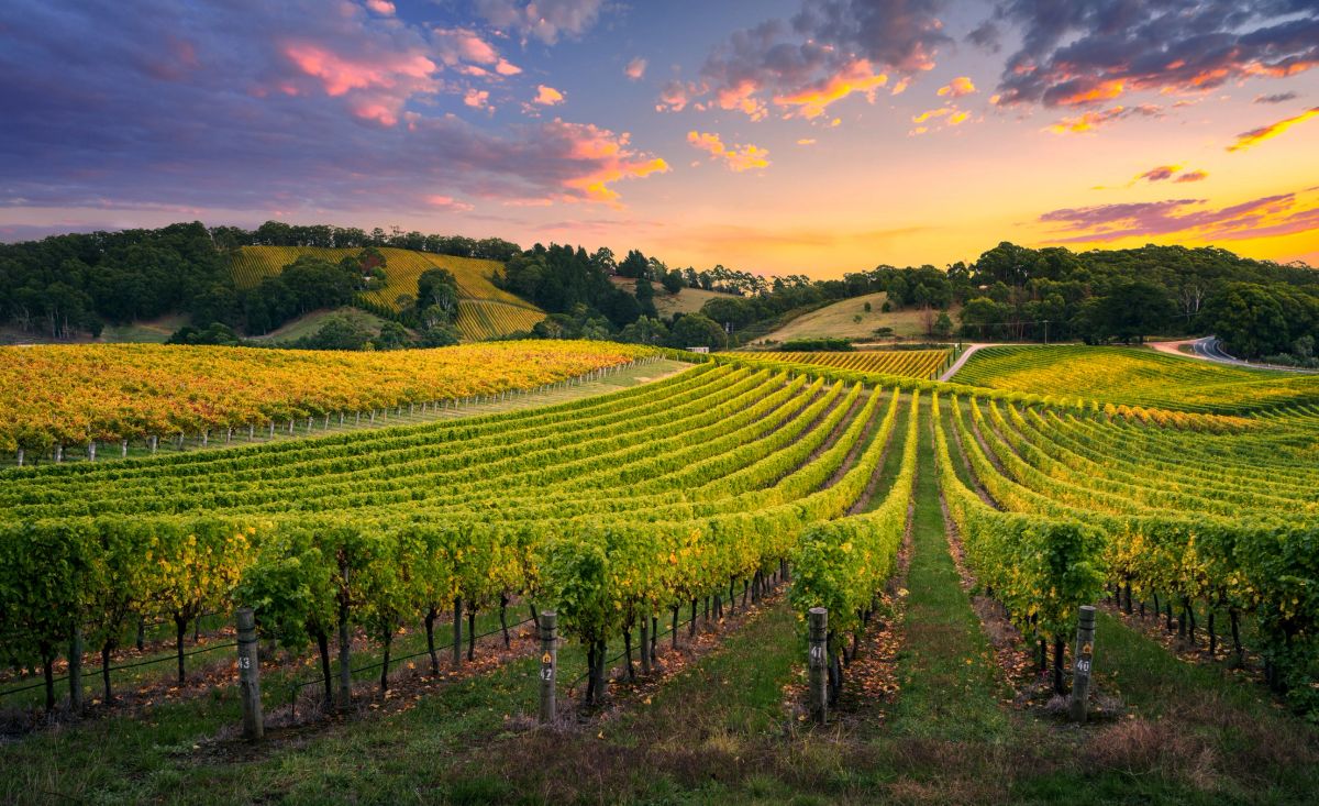 Sonoma County countryside